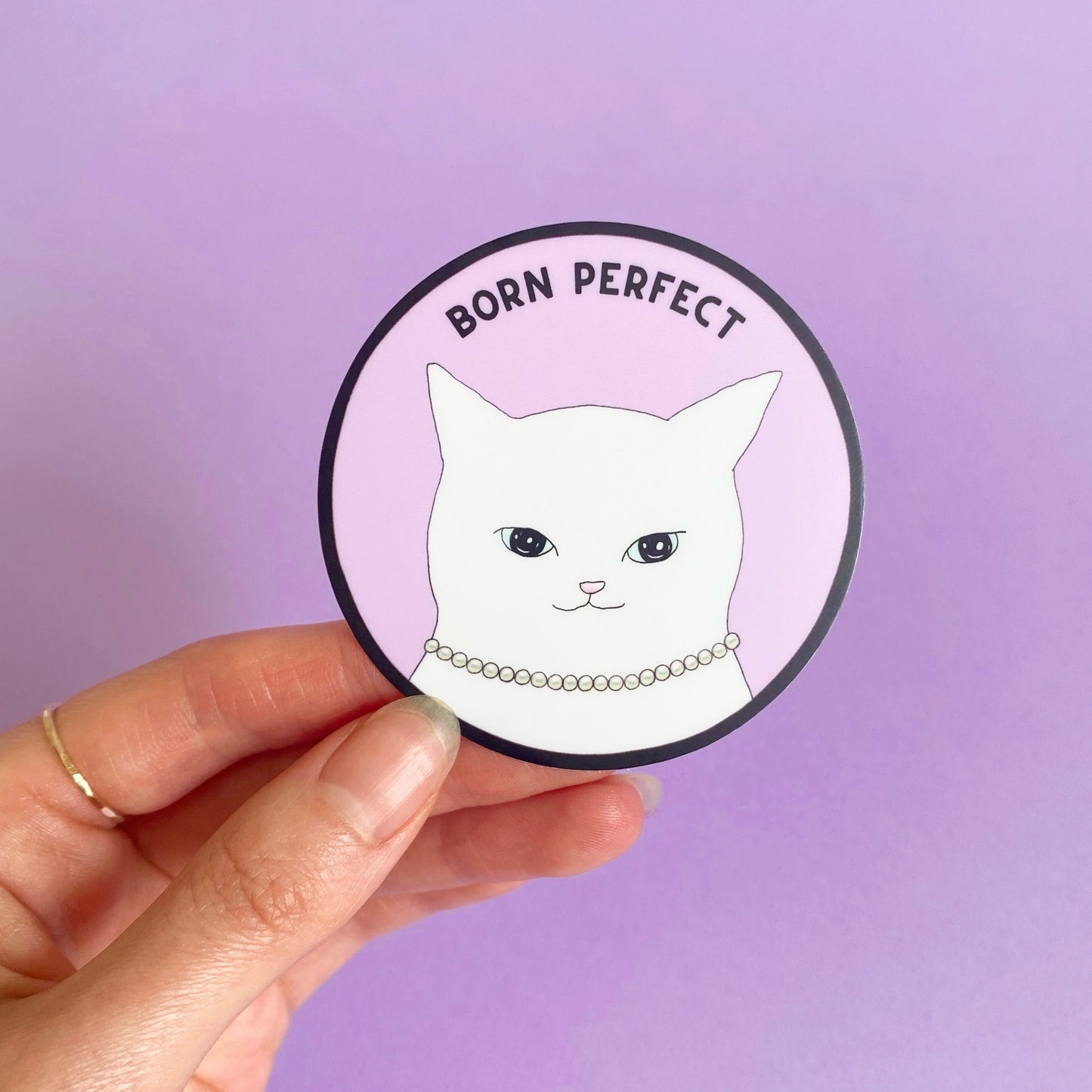 A hand holding a inspiring round sticker with a cute and wise white cat wearing a pearl necklace