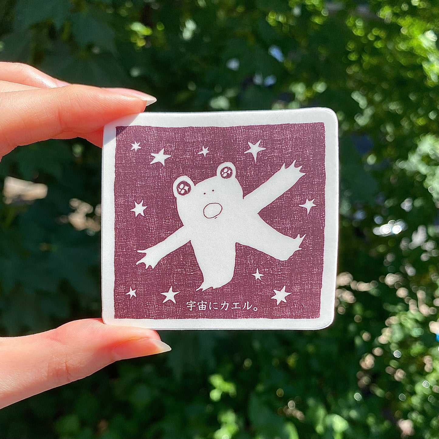 Back to the Universe Frog Sticker