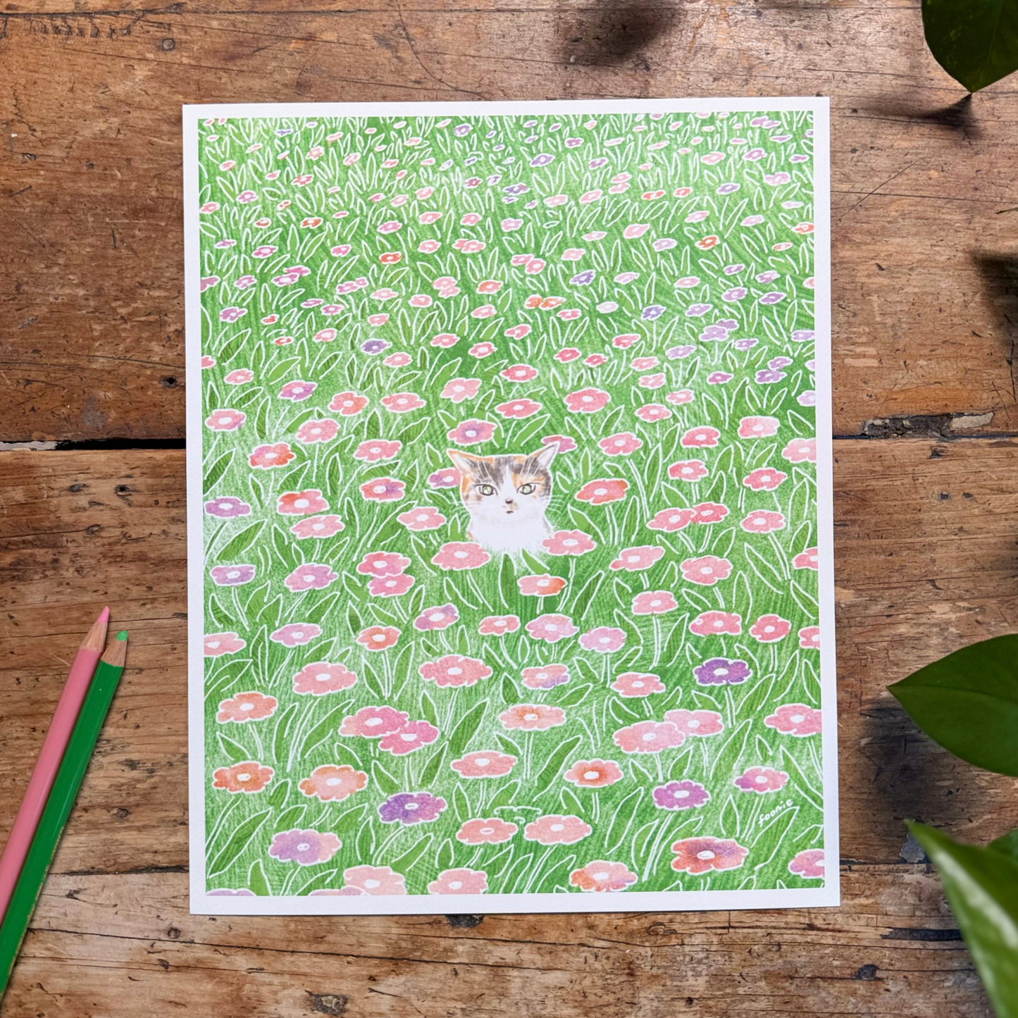 Cat in the Flower Field Print 8x10"