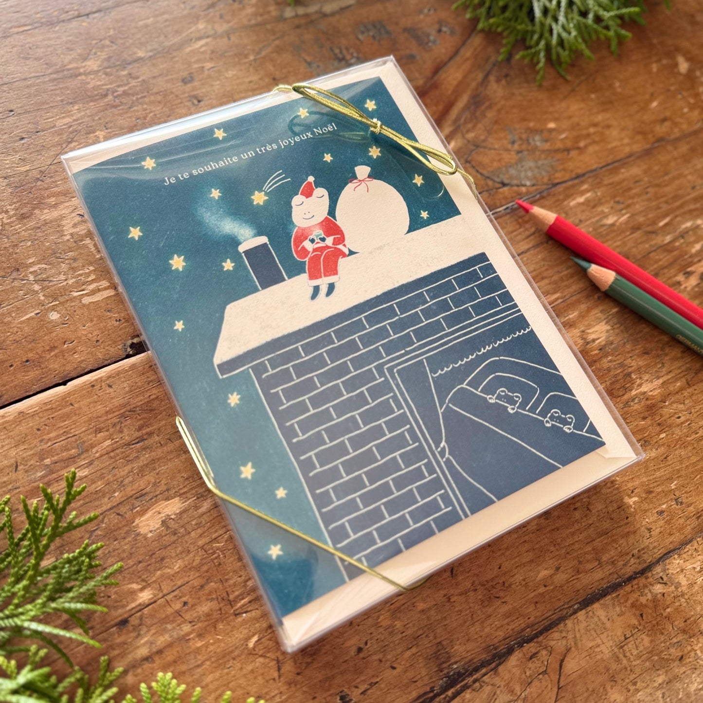 Frog Santa - Holiday Card Set (Box of 8) EN/FR