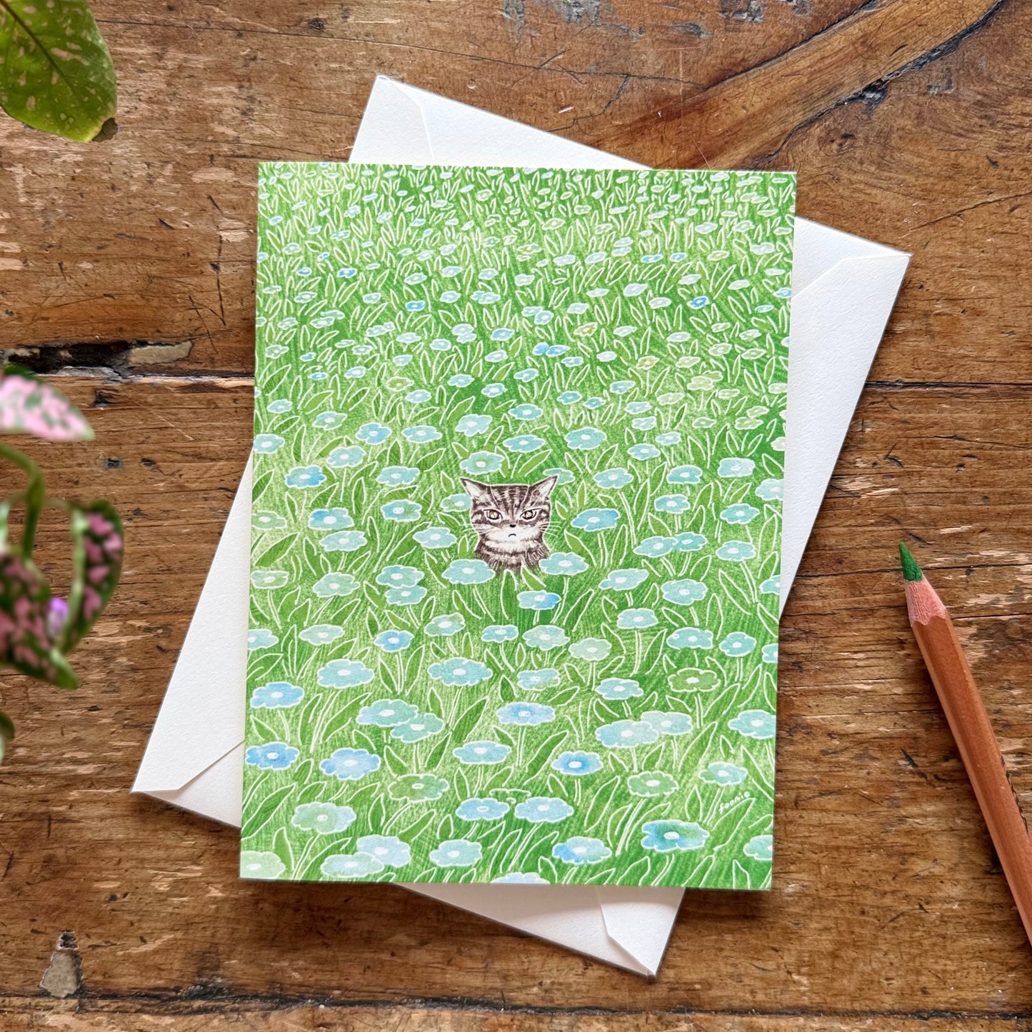 Cat in the Flower Field - Just Because Card