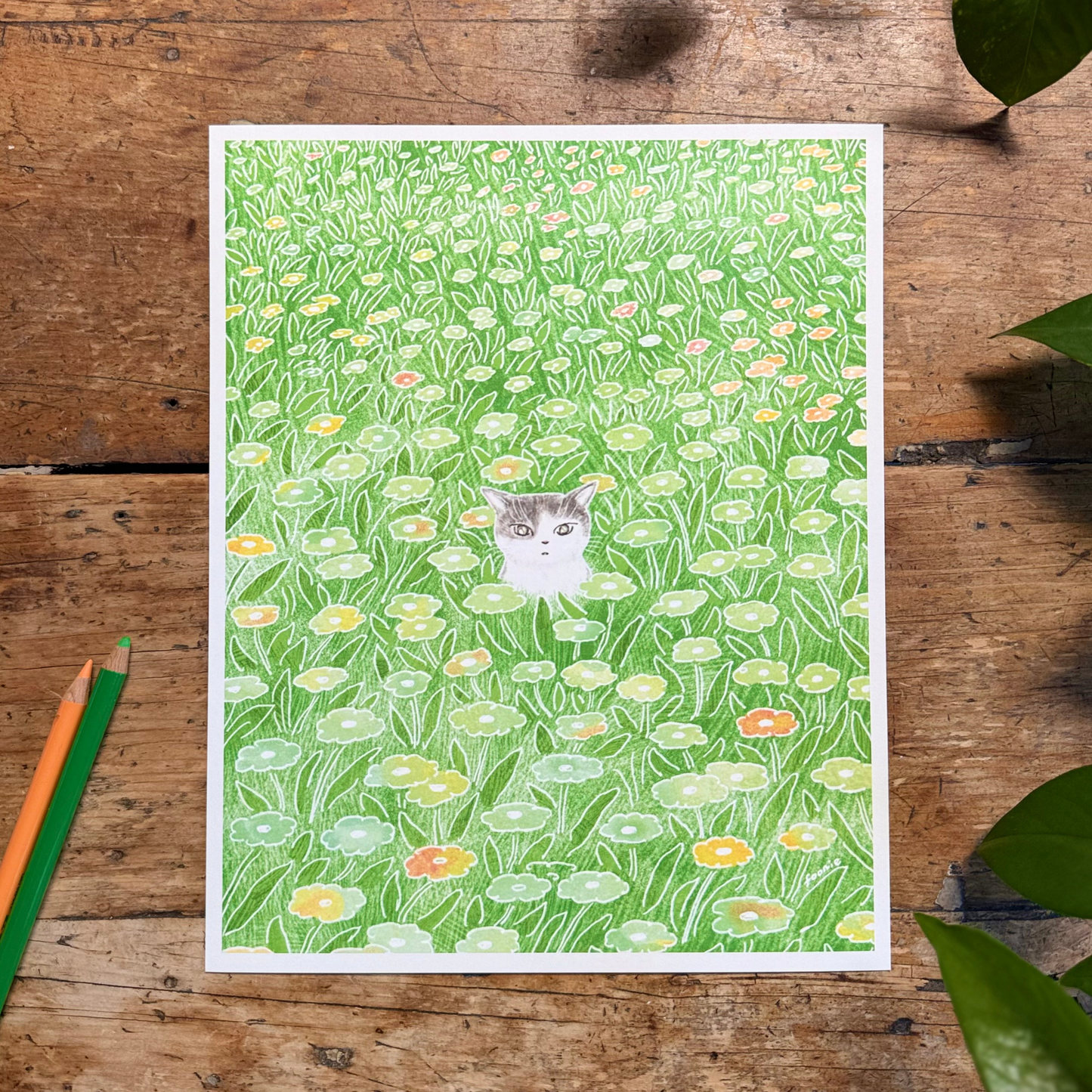 Cat in the Flower Field Print 8x10"