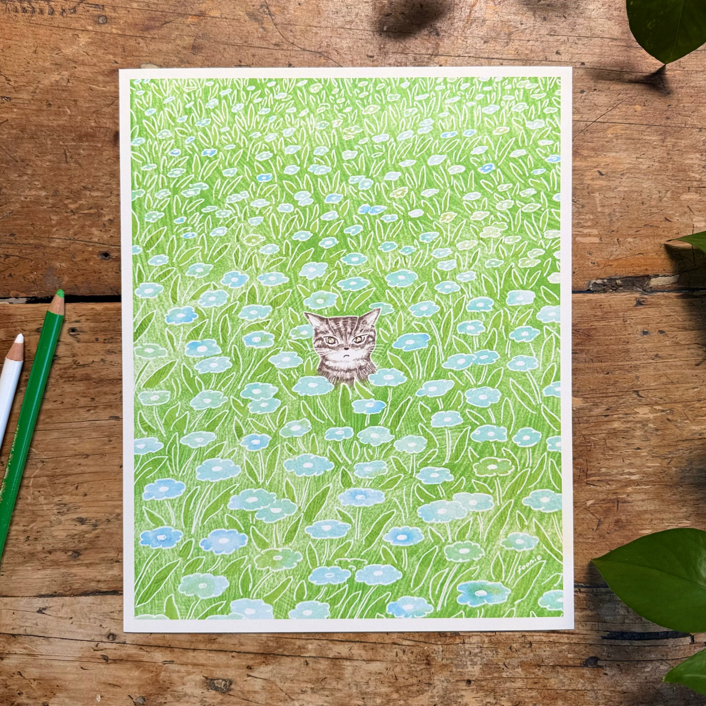 Cat in the Flower Field Print 8x10"