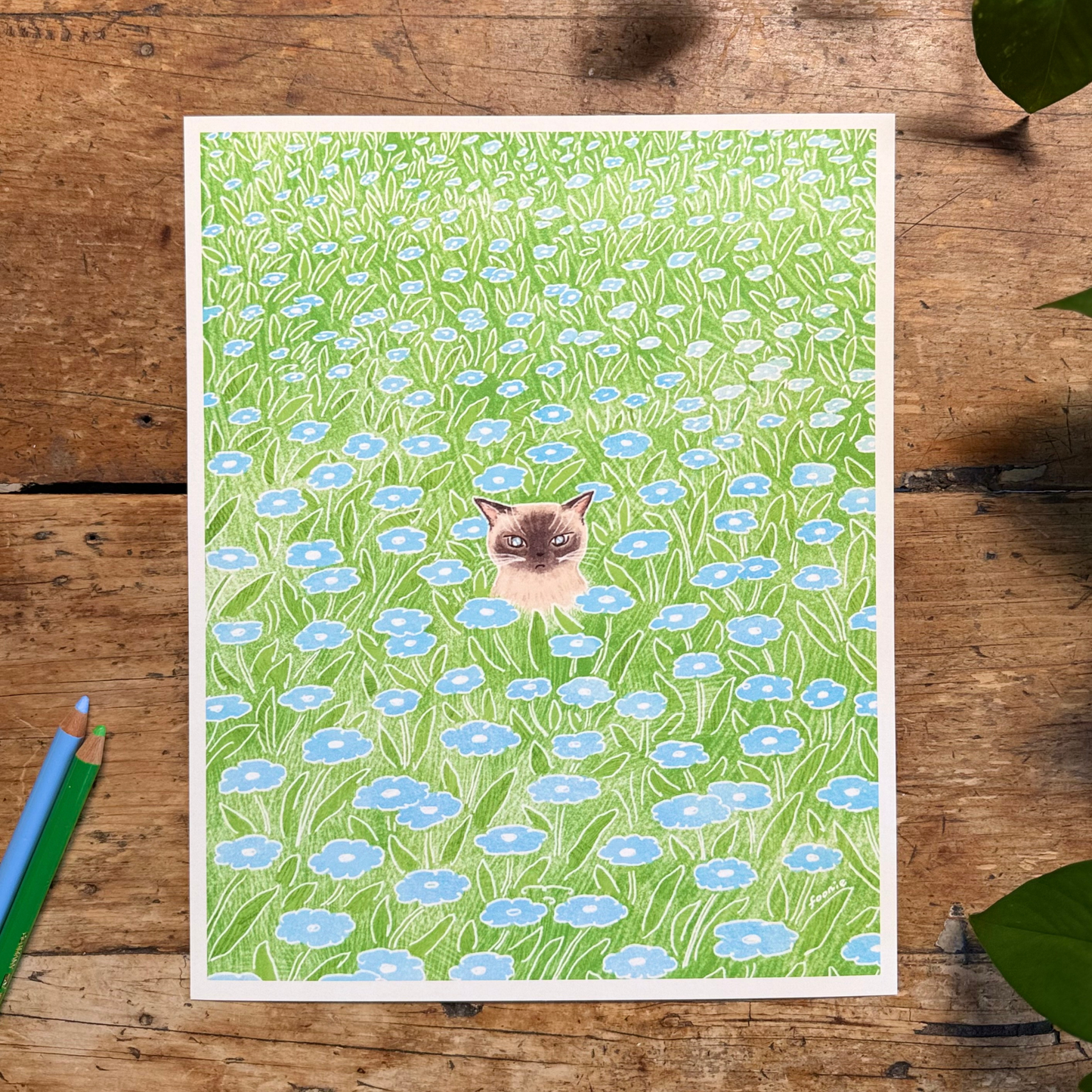 Cat in the Flower Field Print 8x10"