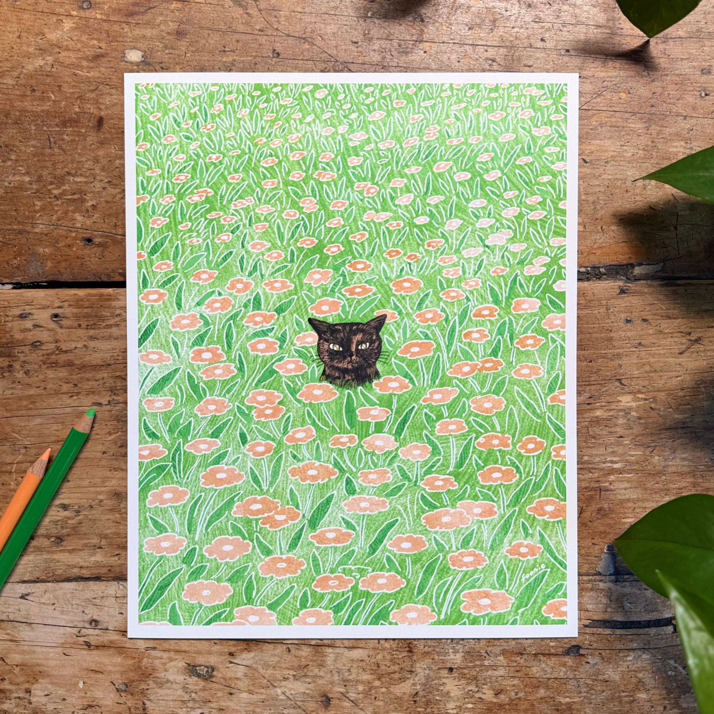 Cat in the Flower Field Print 8x10"