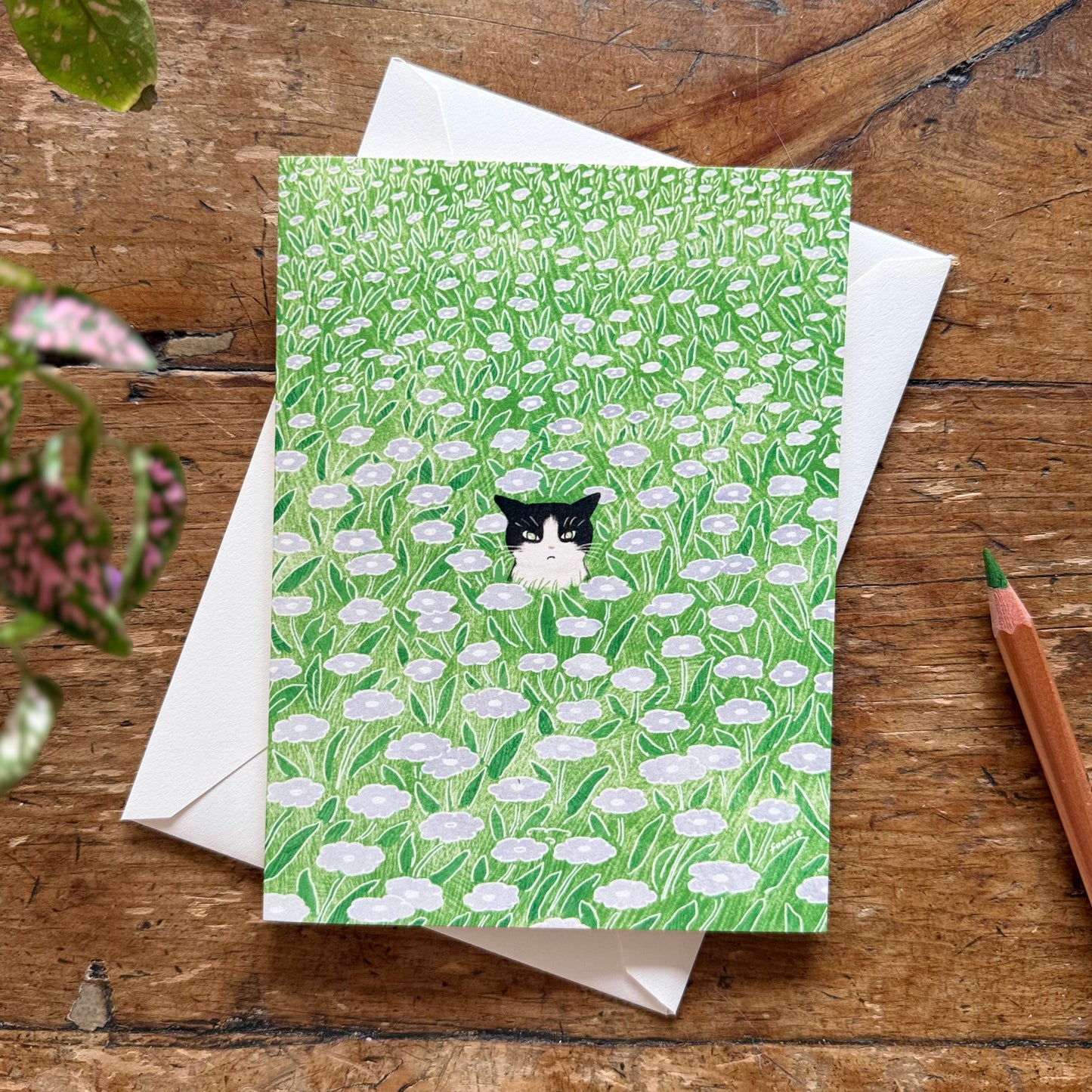 Cat in the Flower Field - Just Because Card