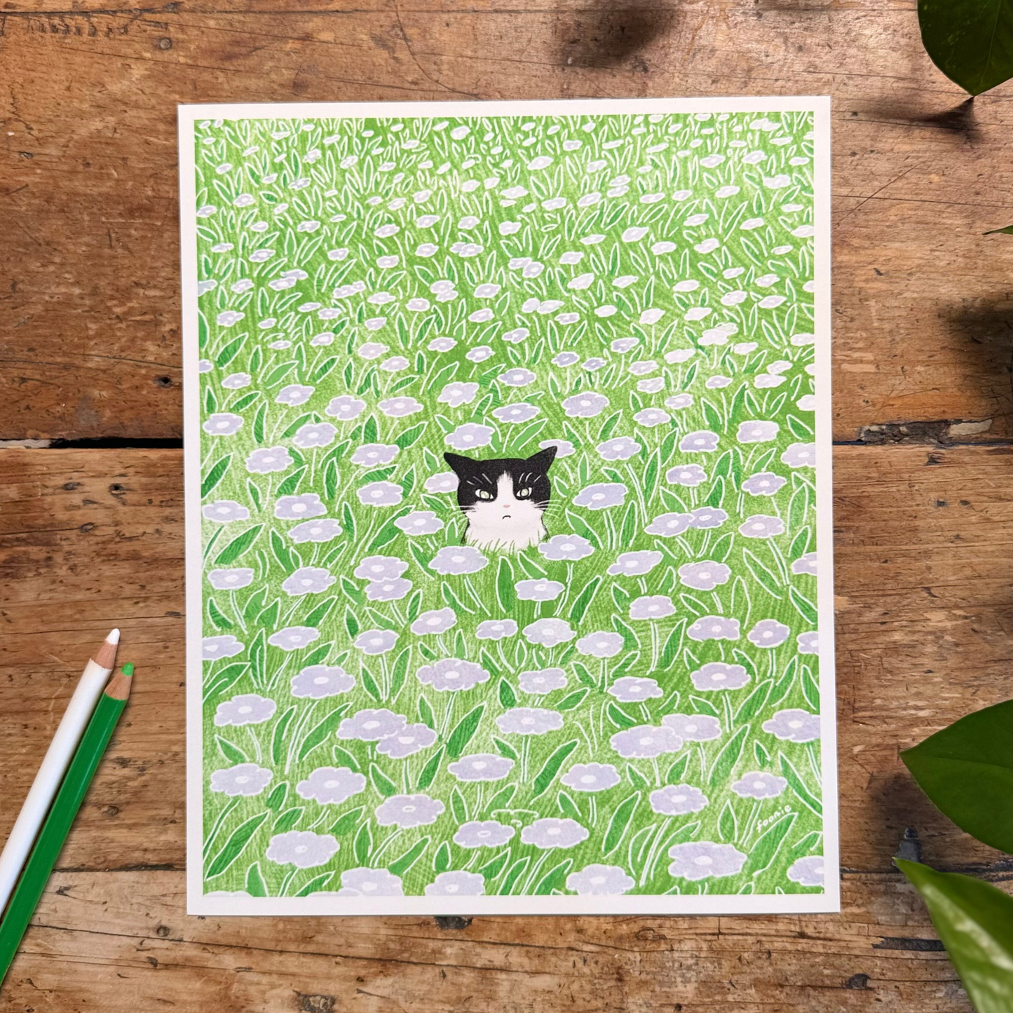 Cat in the Flower Field Print 8x10"