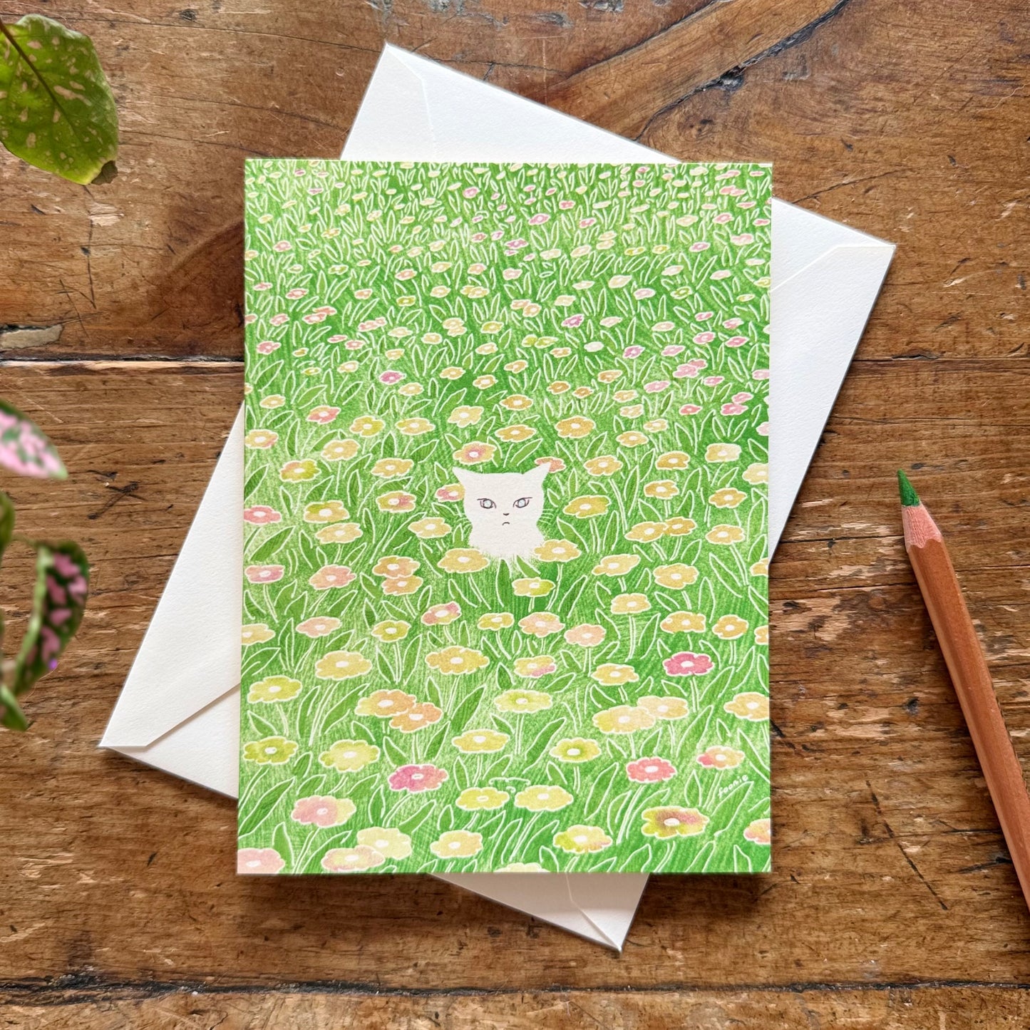 Cat in the Flower Field - Just Because Card
