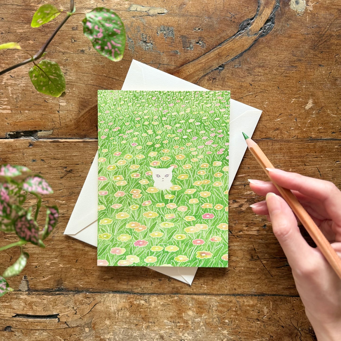 Cat in the Flower Field - Just Because Card