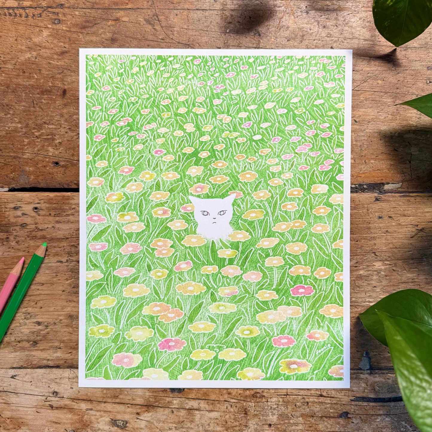 Cat in the Flower Field Print 8x10"