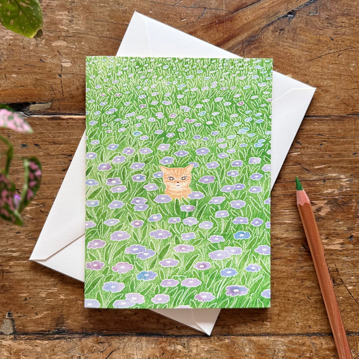 Cat in the Flower Field - Just Because Card
