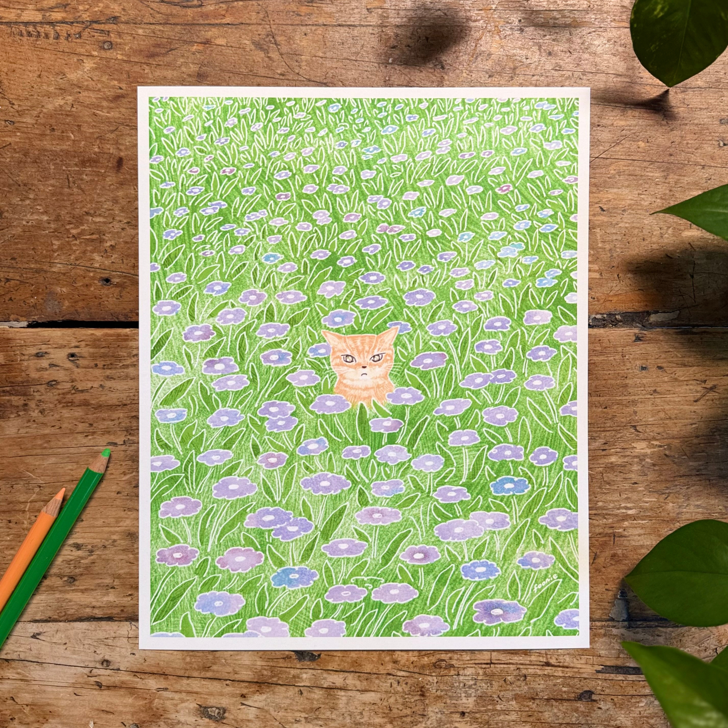 Cat in the Flower Field Print 8x10"
